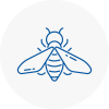 Bee Nest Removal Alfreton