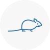 Mice Exterminators In Alfreton
