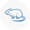 Rat Control Alfreton