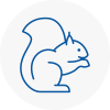 Alfreton Rodent Removals